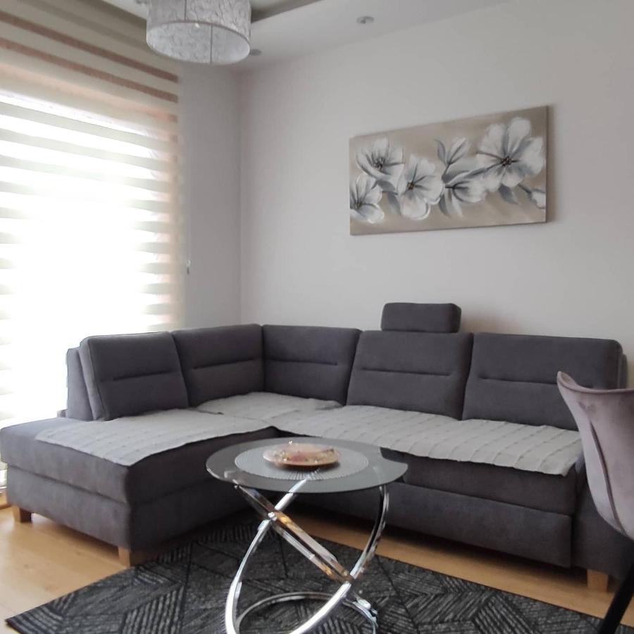 Vila Pino Silvestre Zlatibor Habitación foto